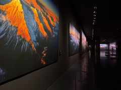 -罗红摄影艺术馆