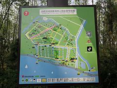 -合肥滨湖国家森林公园