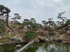 -罗红摄影艺术馆