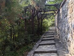-香山公园