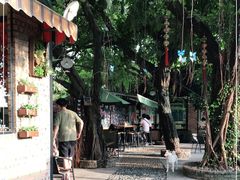 -柴犬高等学院·狗咖·柴犬售卖·宠物训练