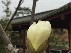 神农草堂中医药博物馆-广州神农草堂中医药博物馆
