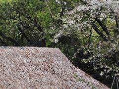 -中国茶叶博物馆(双峰馆区)