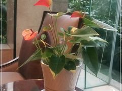 -河南省黄河迎宾馆