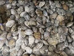 -宾朋海鲜特色美食餐厅·纯手工鲅鱼水饺(兴海路店)