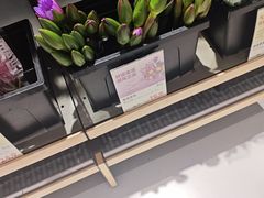 -万达广场(南宁青秀店)