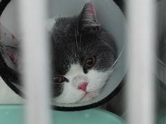 -良伴无忧宠物医院(泰欣嘉园店)