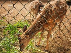 -北京拉斐特城堡酒店