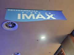 -华谊兄弟影院(IMAX洋桥店)