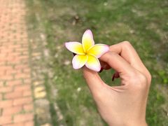 -三亚蜈支洲岛旅游区