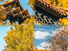 -故宫博物院(故宫)