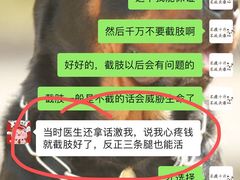 -顺强宠物诊所·狂犬免疫·夜诊·骨科(嘉定店)