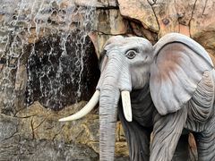 -美的鹭湖探索王国