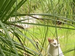 -渤公岛生态公园