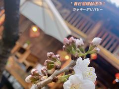-尽善百年古院餐厅(王家老宅店)