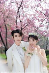 -青禾蒙娜丽莎婚纱摄影(武汉总店)