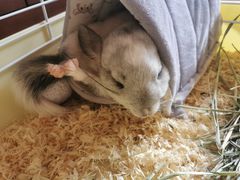 -龙猫仔乐园(惠福东路店)