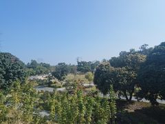 -东莞植物园