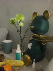 -雅曼妮spa美容养生
