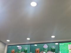 -雾与山茶(大禹城店)