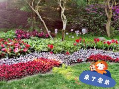 -庐山风景区花径公园