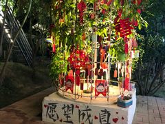 盐焗鸽子煲-崖口红树林海鲜餐厅