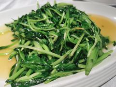 清炒鸡毛菜-玉玲珑(陆家嘴店)