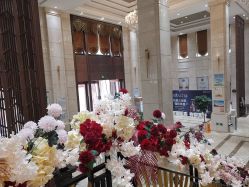 -禾丽康美医疗美容医院