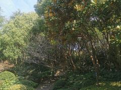 -杭州半山国家森林公园