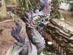 -呀路古热带植物园