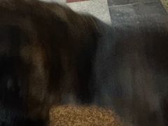 -常州海昌海洋探索馆