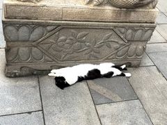 -宝通禅寺
