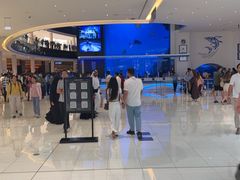 -迪拜水族馆及水下动物园