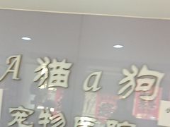 -A猫a狗全科·犬猫异宠·芥西宠物医院(南开总院)