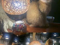 -咖法森林·咖啡  酒吧(天河店)