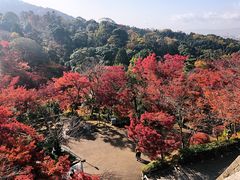 -有栖山 清光院 清水寺