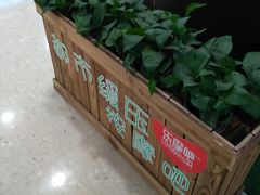 绿植-沈阳HAI乐园
