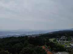 -铁山坪森林公园