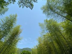-黄公望隐居地