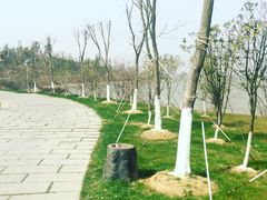 -艾溪湖湿地公园