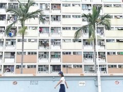 -彩虹村