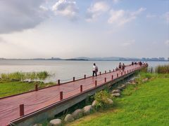 -苏州东太湖生态园