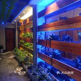 超级地道的川菜苍蝇馆子