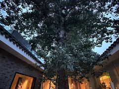 -自如ZSPACE四合院艺术餐厅