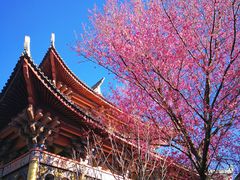 -天龙八部武侠城
