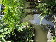 -晓港公园