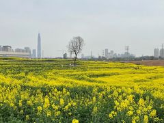 -三圣花乡旅游区