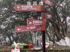 -莫干山风景区