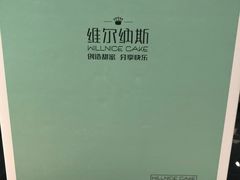 -维尔纳斯·生日蛋糕动物奶油冰淇淋蛋糕(人大店)
