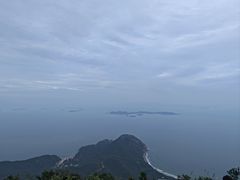 -杨梅坑